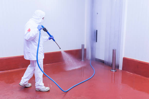 Best Warehouse Cleaning  in The Acreage, FL